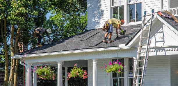 Best Roof Gutter Cleaning  in Beverly Hills, FL